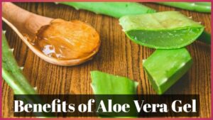 Benefits of Aloe Vera Gel
