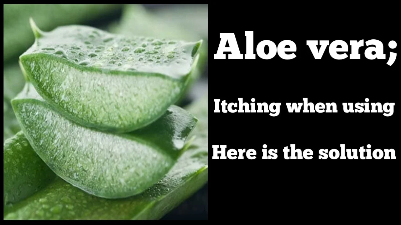 Aloe Vera; Itching when using, Here is the solution