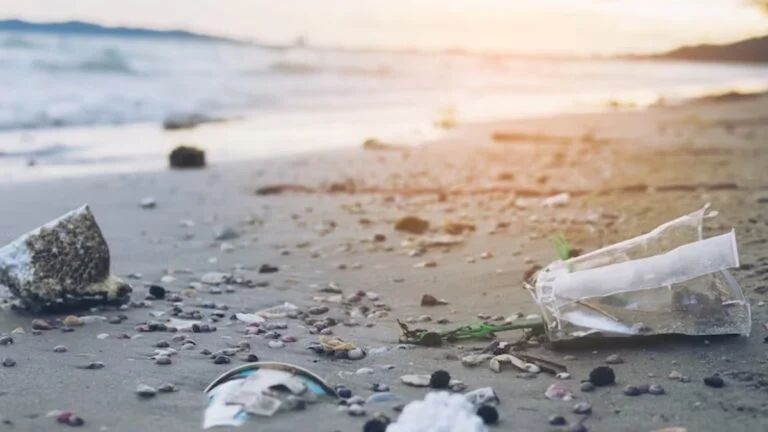 World Environment Day: Top quotes on 'Beat Plastic Pollution'