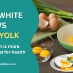 Egg white vs yolk