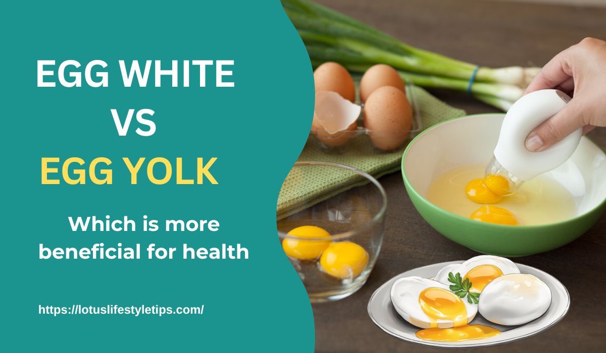 Egg white vs yolk